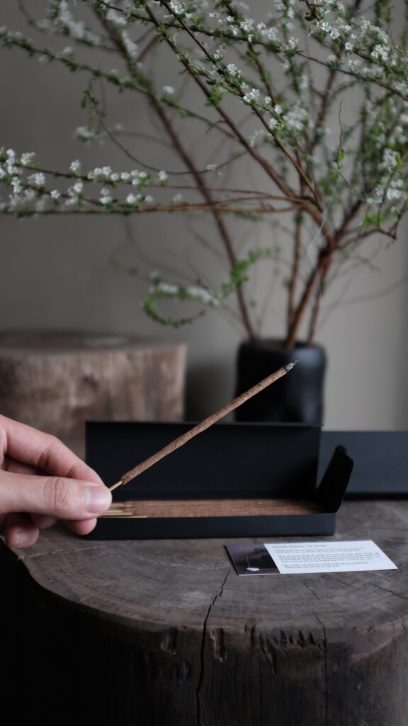 KFK25-AvaWeb-MiniSetThanhHuong